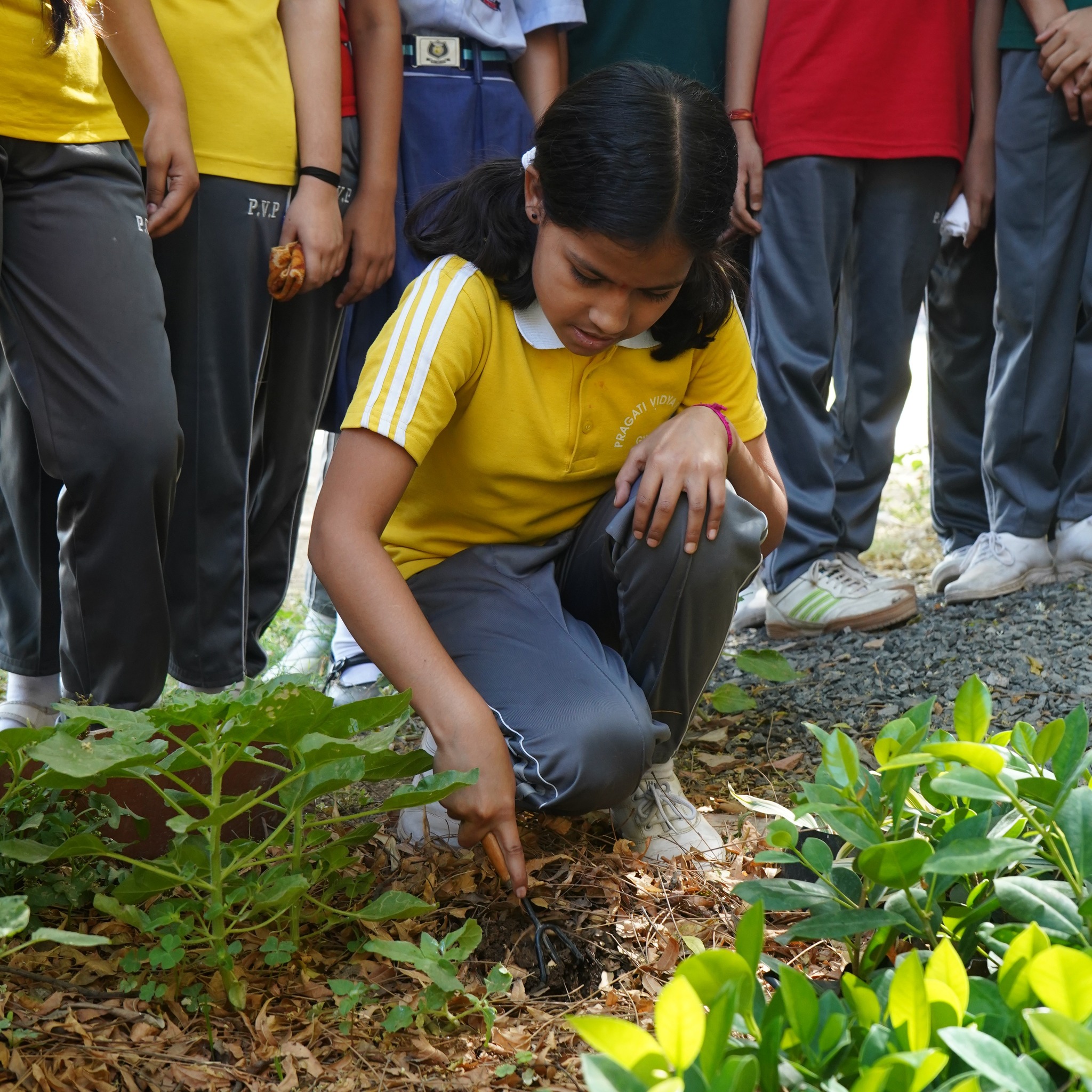  agriculture activities class 8th students