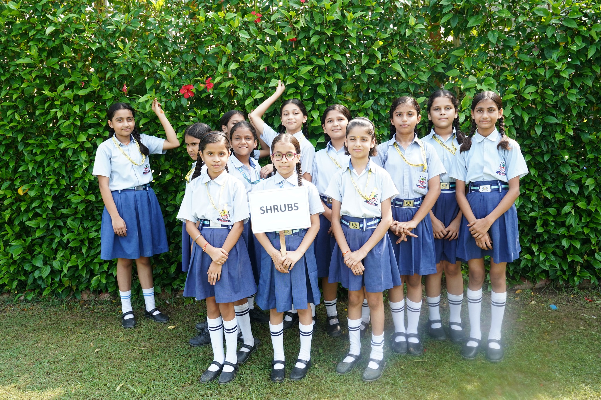 Class 6 Students Explore the Wonders of the Garden 2024