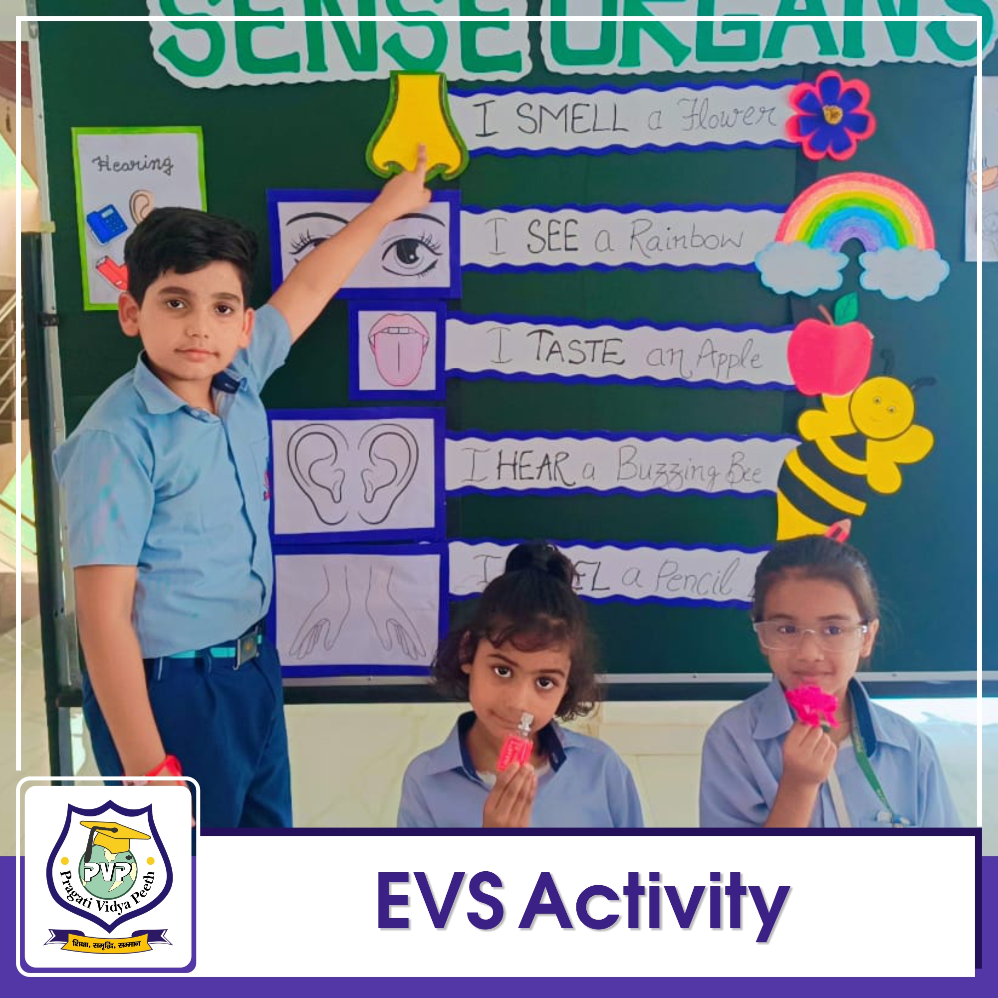 EVS Activity